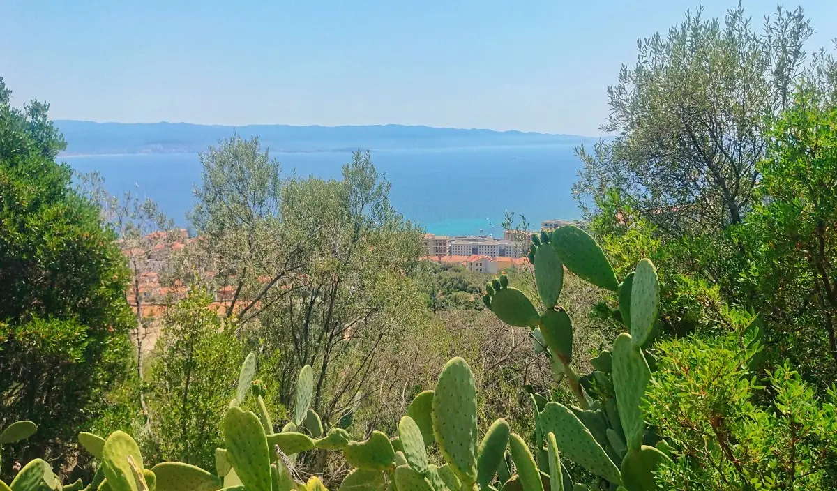 Escapade dorée à Ajaccio, Corse