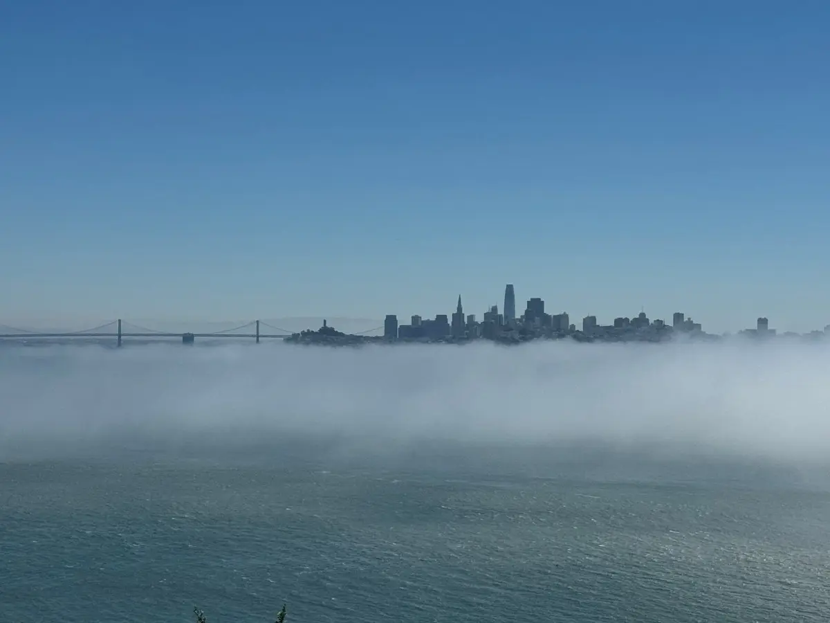 Exploring the City by the Bay
