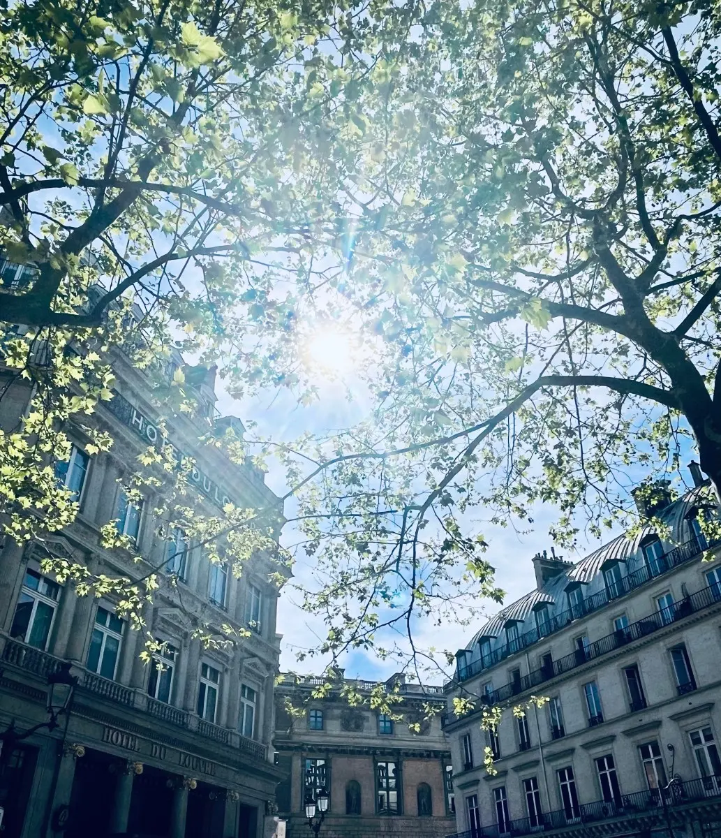 From Paris to New York, Look Up!