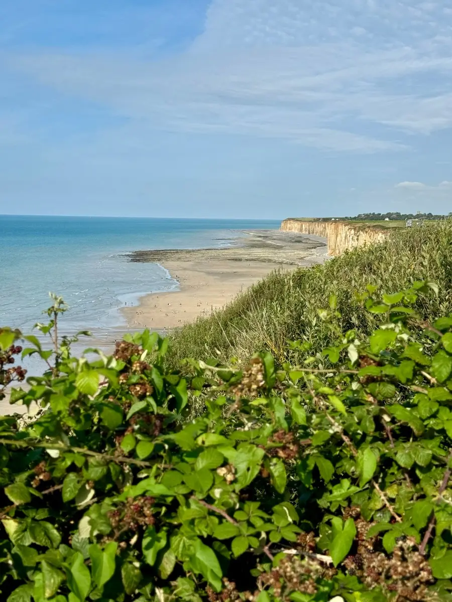 Papillonner en Normandie