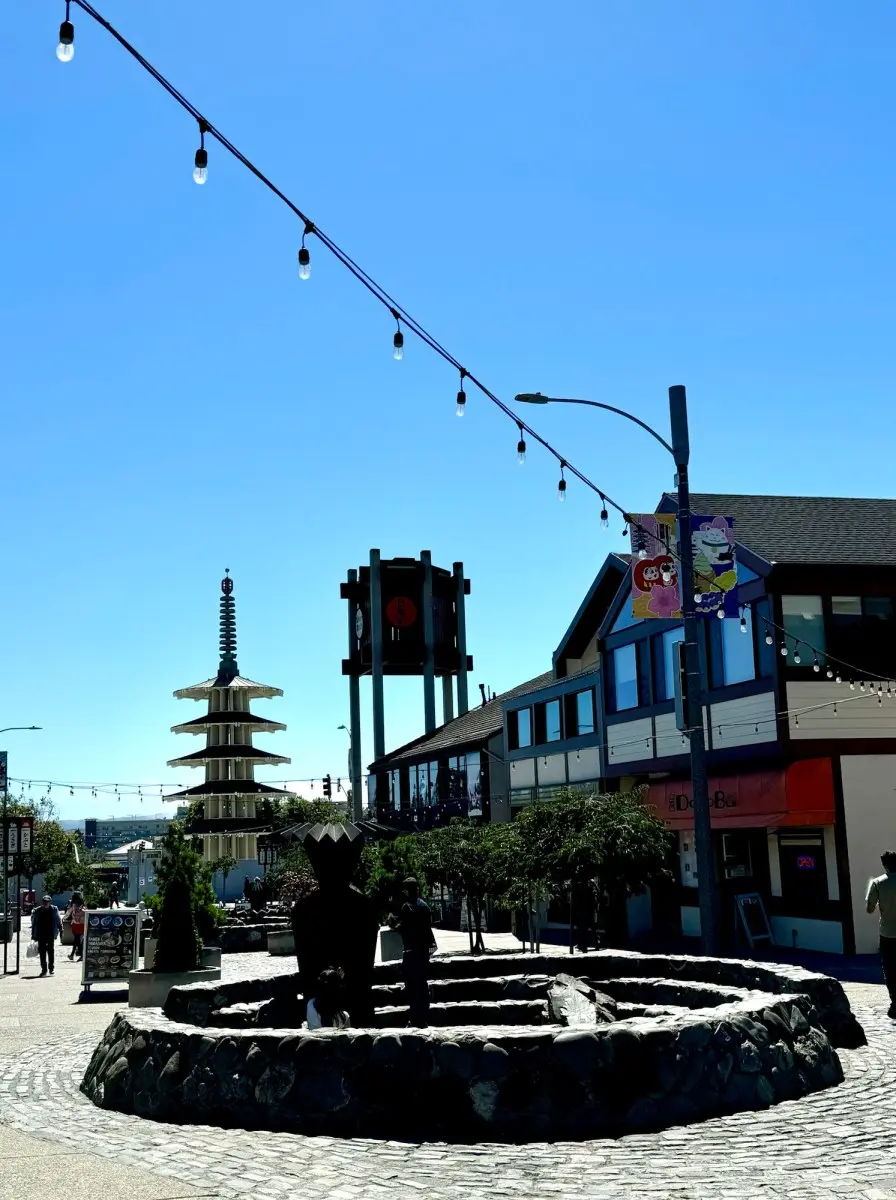 Strolling San Francisco Hills & Hoods