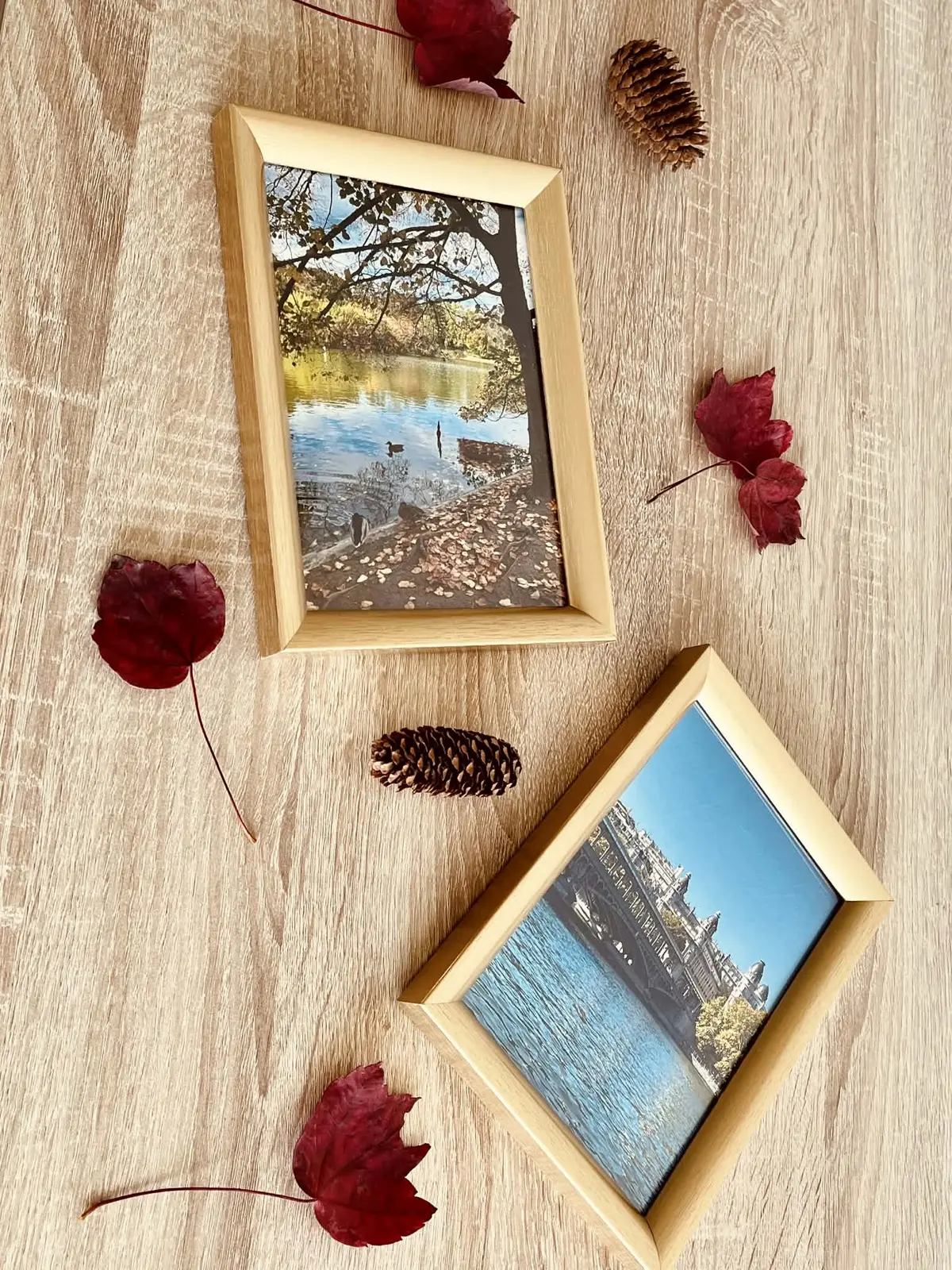 Autumn Lake Serenity Poster